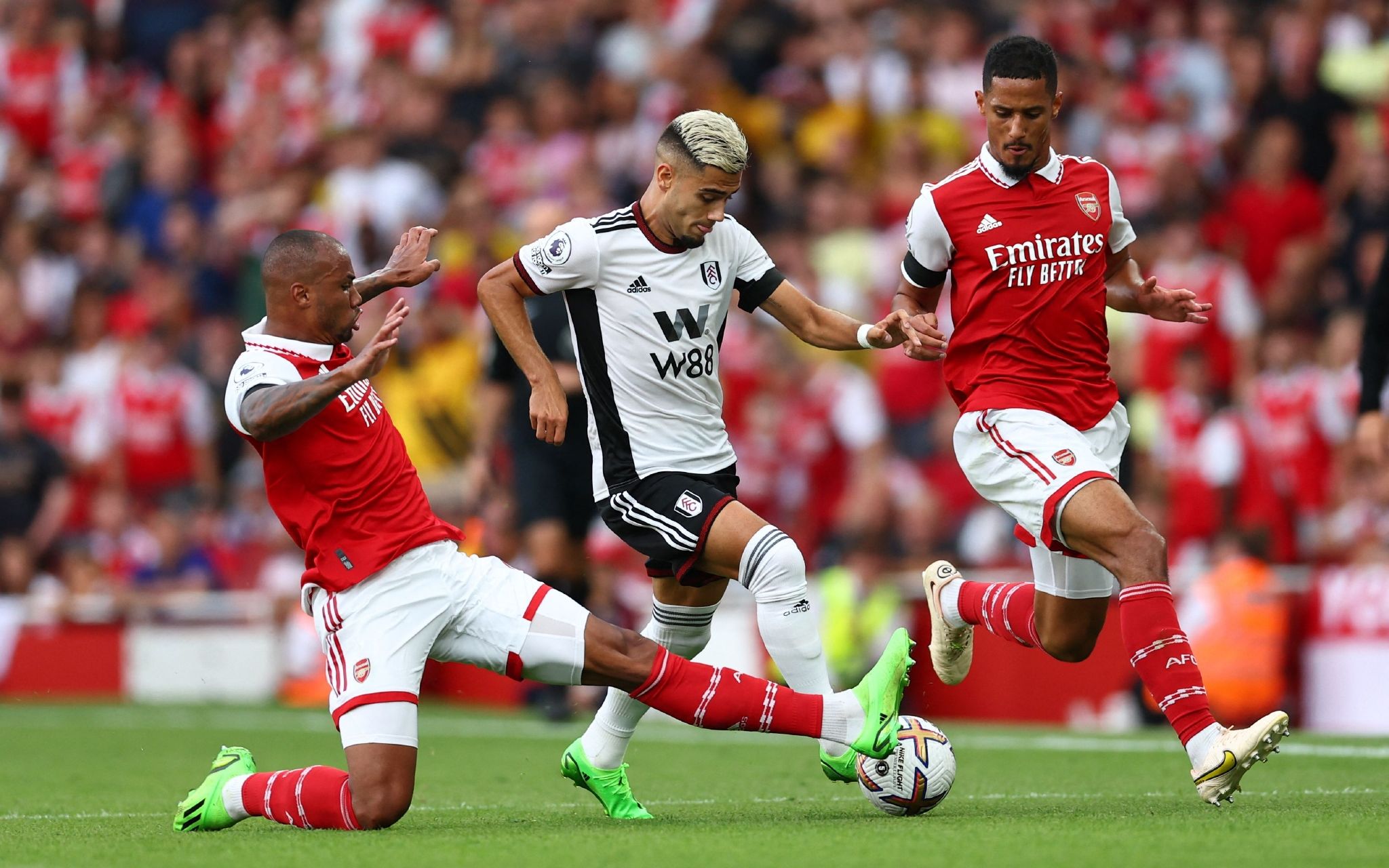 被误判的情 被误判的情