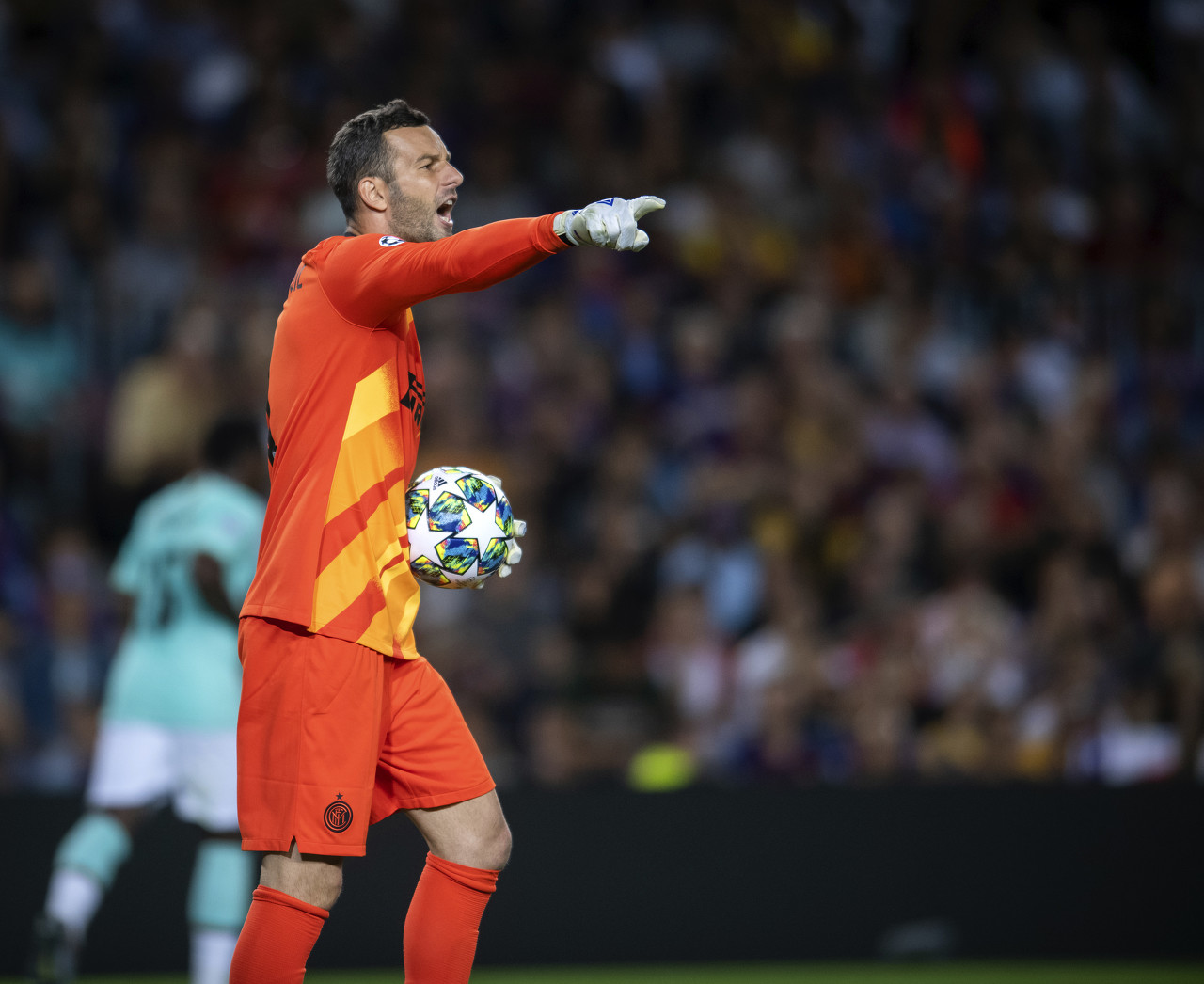 大连英博一 大连英博一